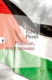 Palestine, notre blessure (Poche / Essais)